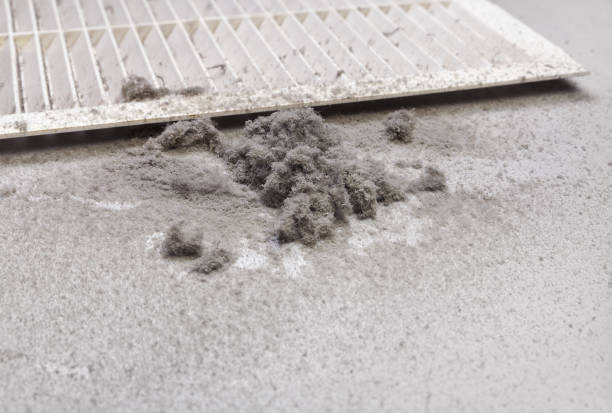Best Dryer Vent Cleaning Services  in Thiells, NY